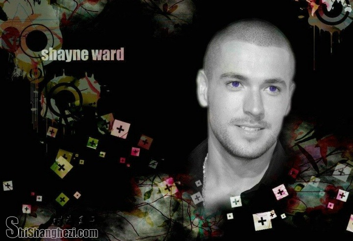 ФֵShayne Ward ĸ - No PromisesͼƬ 137122